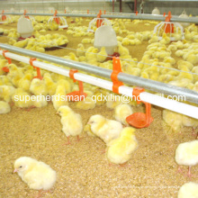 Heißer Verkauf automatische Geflügel-Bauernhof-Ausrüstung für Broiler-Huhn-Bauernhof